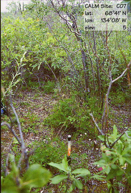 Photo R7 Reindeer Depot for ALT site Reindeer Depot (TT)